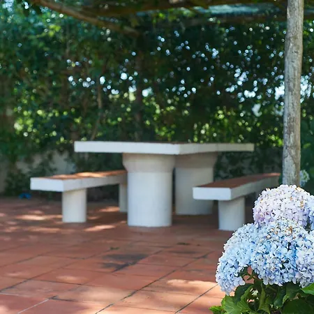 بيت للعطل Casa De - Sintra Pool Surf Getaway Work And Play كولاريس