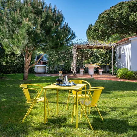 Pinha Da - Beach, Pool, Surf Getaway Work And Play *