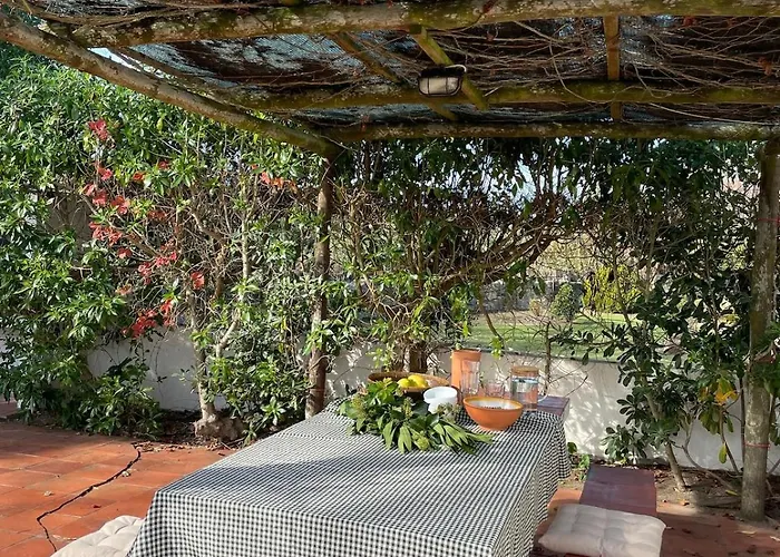 Casa De - Sintra Pool Surf Getaway Work And Play Colares